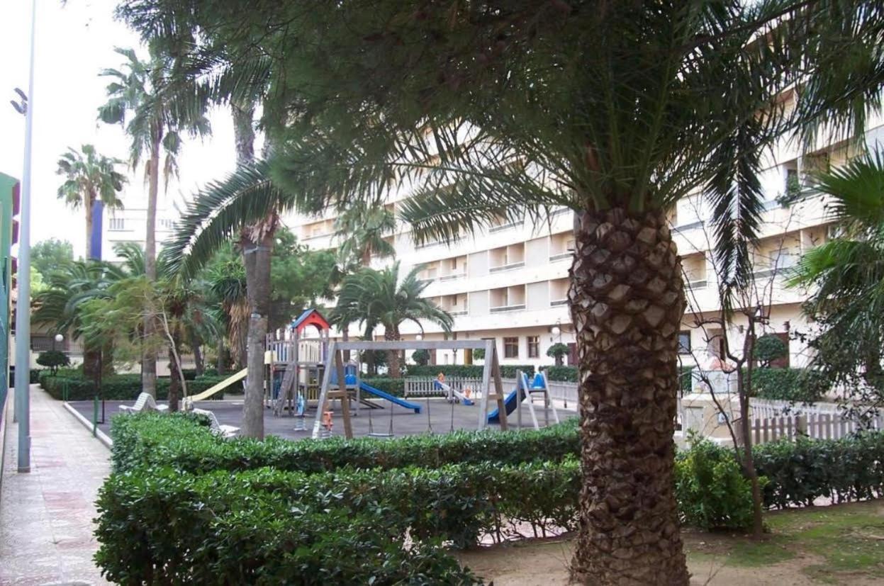 Nuevo, Primera Linea De Playa, Con Piscina Y Vistas Al Mar 库列拉 外观 照片